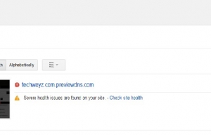 How to Remove Preview DNS URL’s from Google search results?